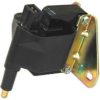 FISPA 85.30335 Ignition Coil